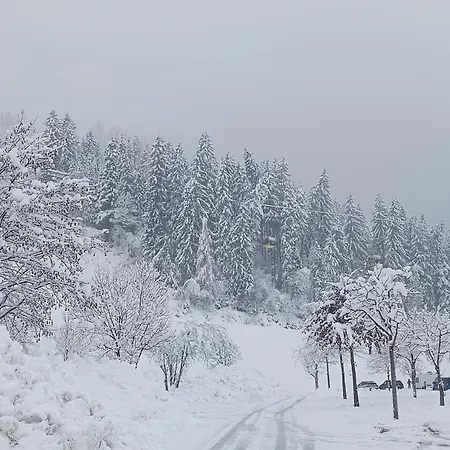 Alpenoase Horbergbahn شقة